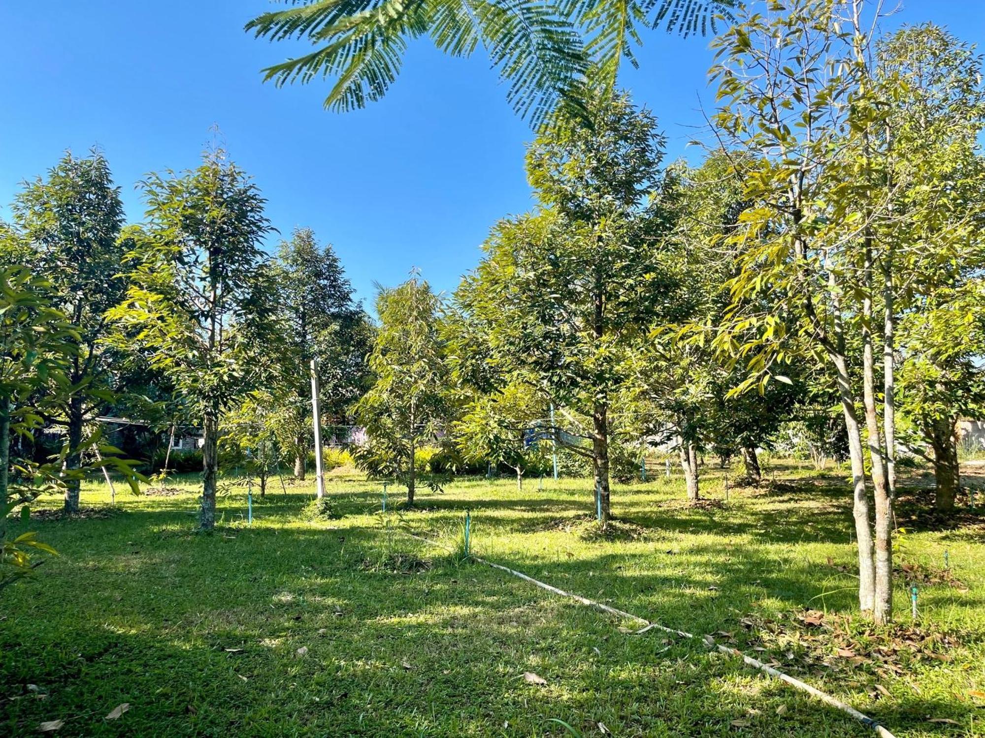 Noen Hom Panpim Resort מראה חיצוני תמונה